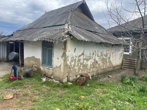 IMG_0611